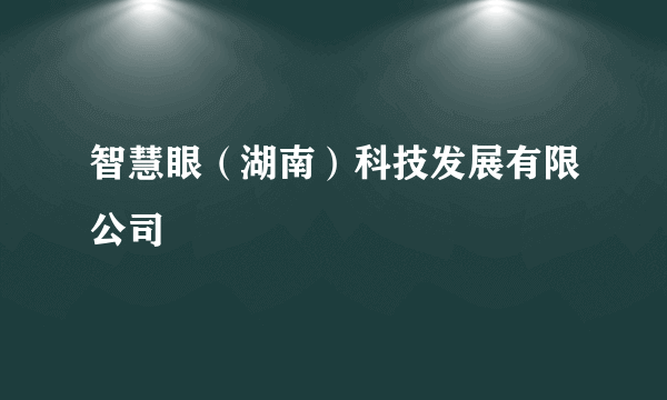 智慧眼（湖南）科技发展有限公司