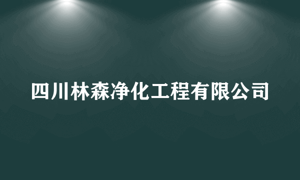 四川林森净化工程有限公司