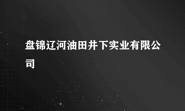 盘锦辽河油田井下实业有限公司