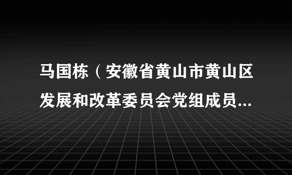 马国栋（安徽省黄山市黄山区发展和改革委员会党组成员、副主任）