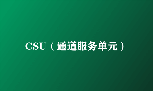 CSU（通道服务单元）