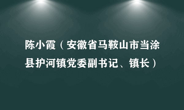 陈小霞（安徽省马鞍山市当涂县护河镇党委副书记、镇长）