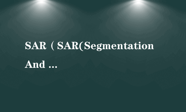 SAR（SAR(Segmentation And Reassembly)）