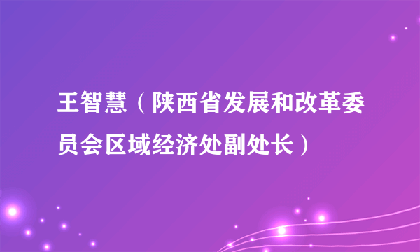 王智慧（陕西省发展和改革委员会区域经济处副处长）