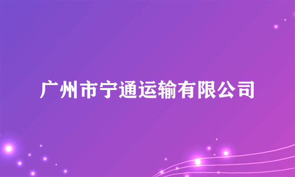 广州市宁通运输有限公司