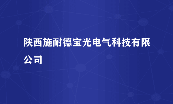 陕西施耐德宝光电气科技有限公司