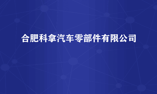 合肥科拿汽车零部件有限公司