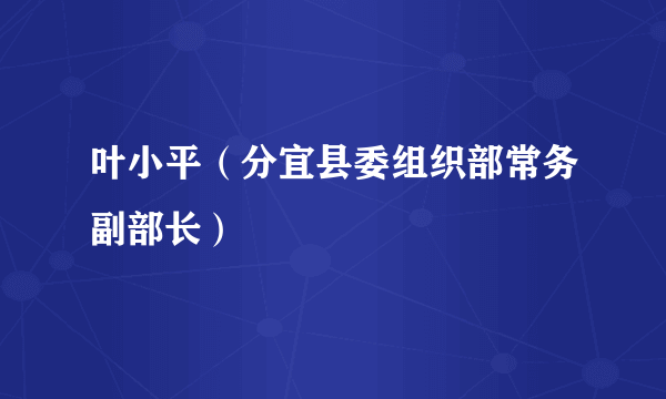 叶小平（分宜县委组织部常务副部长）