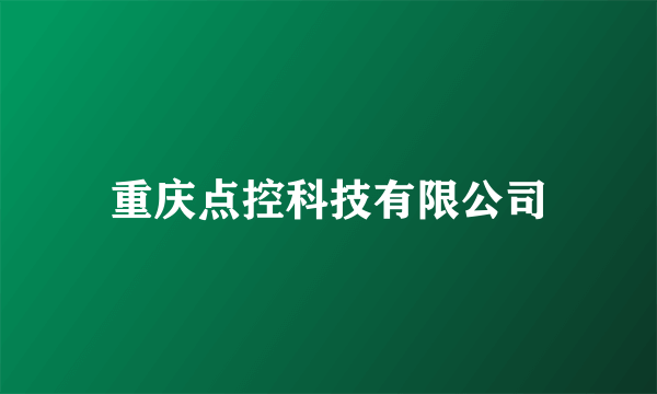 重庆点控科技有限公司