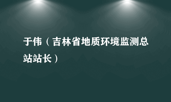 于伟（吉林省地质环境监测总站站长）