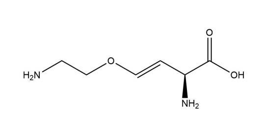 AVG（(S}-反-2-氨基-4-（2-氨基乙氧基）-3-丁烯酸）