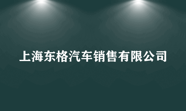 上海东格汽车销售有限公司