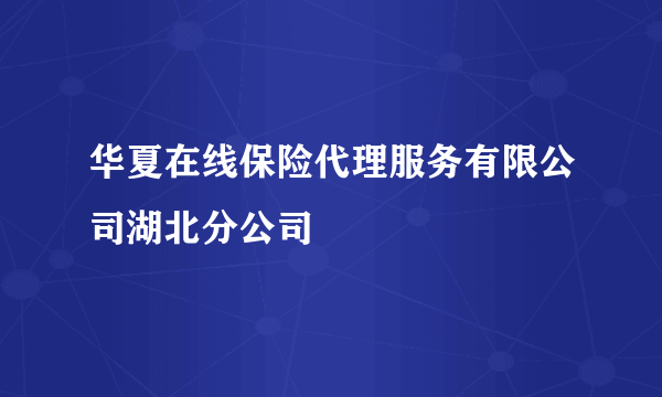 华夏在线保险代理服务有限公司湖北分公司