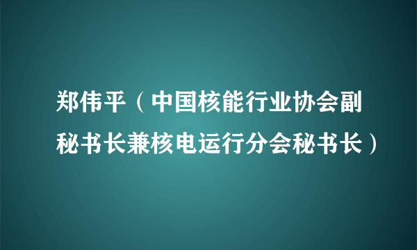 郑伟平（中国核能行业协会副秘书长兼核电运行分会秘书长）