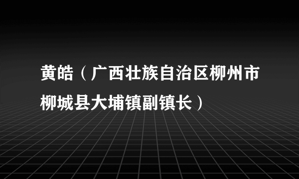 黄皓（广西壮族自治区柳州市柳城县大埔镇副镇长）