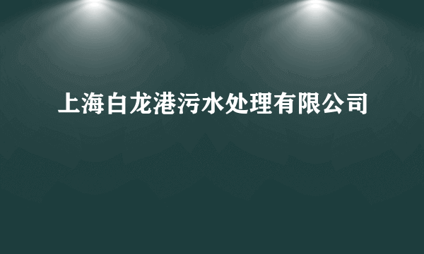 上海白龙港污水处理有限公司