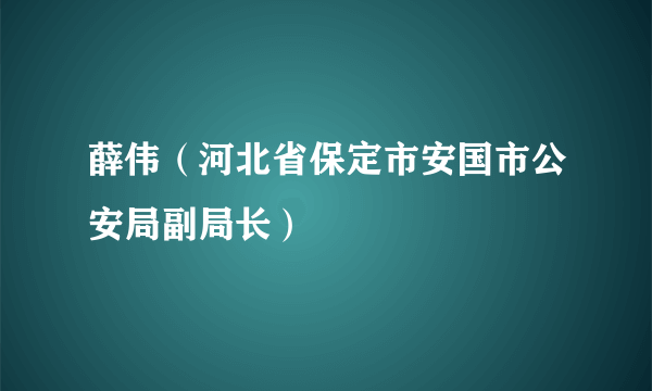 薛伟（河北省保定市安国市公安局副局长）