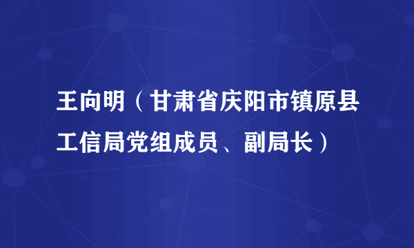 王向明（甘肃省庆阳市镇原县工信局党组成员、副局长）