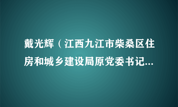 戴光辉（江西九江市柴桑区住房和城乡建设局原党委书记、局长）