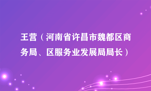 王营（河南省许昌市魏都区商务局、区服务业发展局局长）