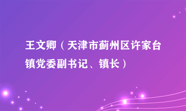 王文卿（天津市蓟州区许家台镇党委副书记、镇长）