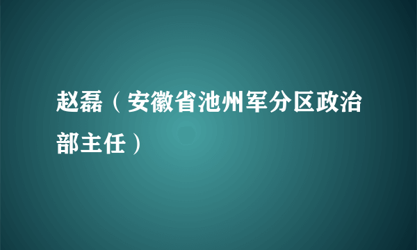 赵磊（安徽省池州军分区政治部主任）