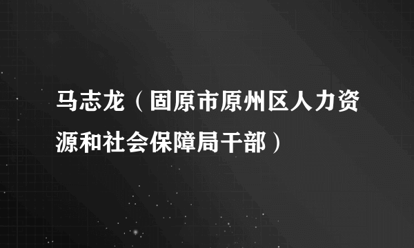 马志龙（固原市原州区人力资源和社会保障局干部）