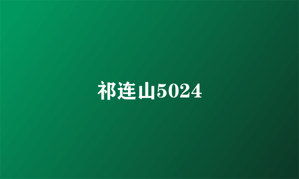 祁连山5024