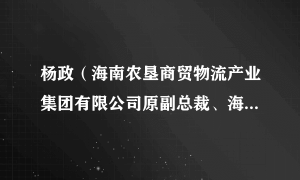 杨政（海南农垦商贸物流产业集团有限公司原副总裁、海南海垦国际贸易有限公司原董事长）