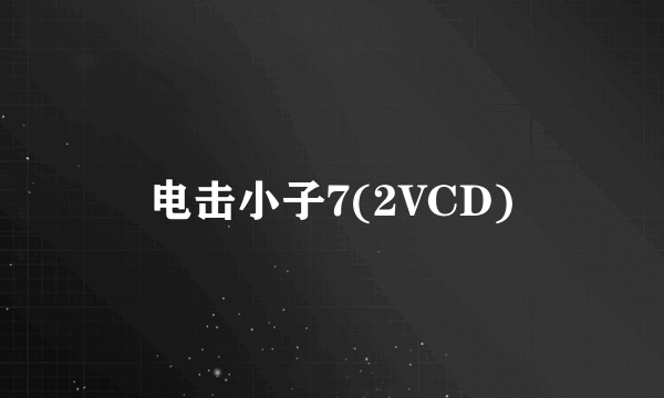 电击小子7(2VCD)