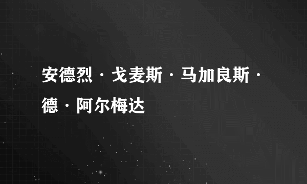 安德烈·戈麦斯·马加良斯·德·阿尔梅达