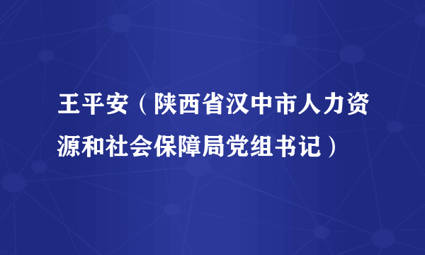 王平安（陕西省汉中市人力资源和社会保障局党组书记）