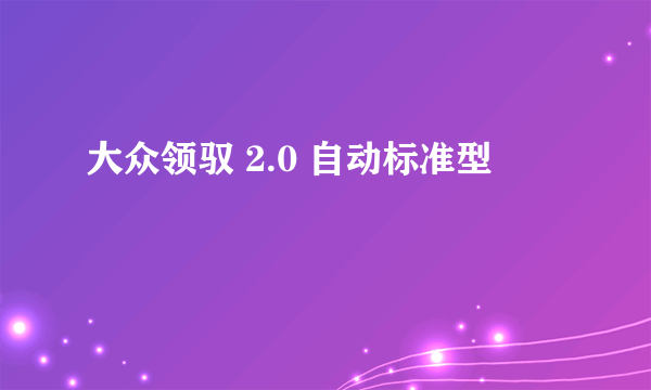 大众领驭 2.0 自动标准型