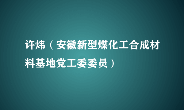 许炜（安徽新型煤化工合成材料基地党工委委员）