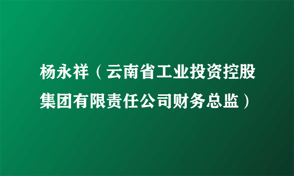 杨永祥（云南省工业投资控股集团有限责任公司财务总监）