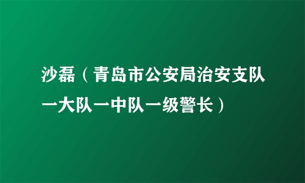 沙磊（青岛市公安局治安支队一大队一中队一级警长）