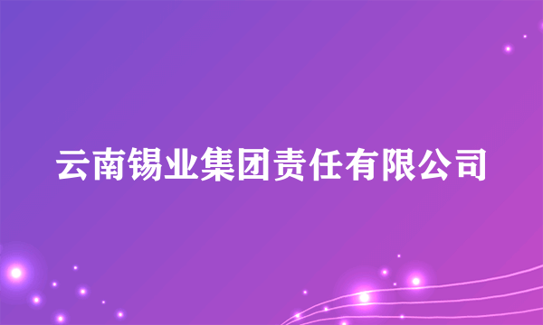 云南锡业集团责任有限公司