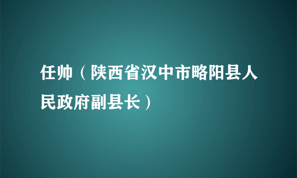 任帅（陕西省汉中市略阳县人民政府副县长）