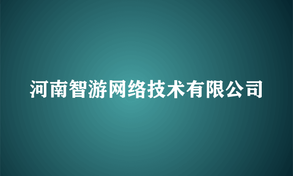 河南智游网络技术有限公司