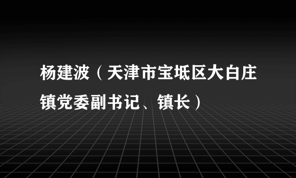 杨建波（天津市宝坻区大白庄镇党委副书记、镇长）