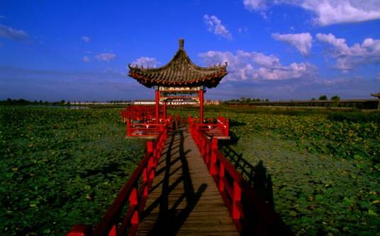 荷香园景区