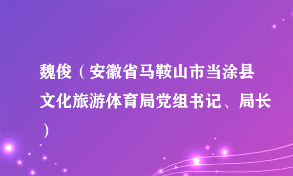 魏俊（安徽省马鞍山市当涂县文化旅游体育局党组书记、局长）