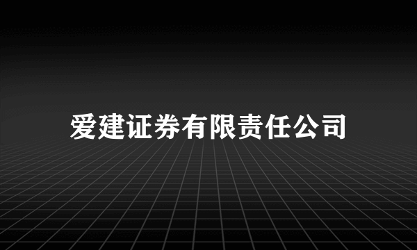 爱建证券有限责任公司