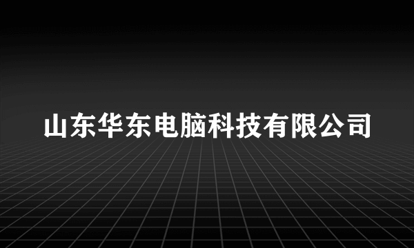 山东华东电脑科技有限公司