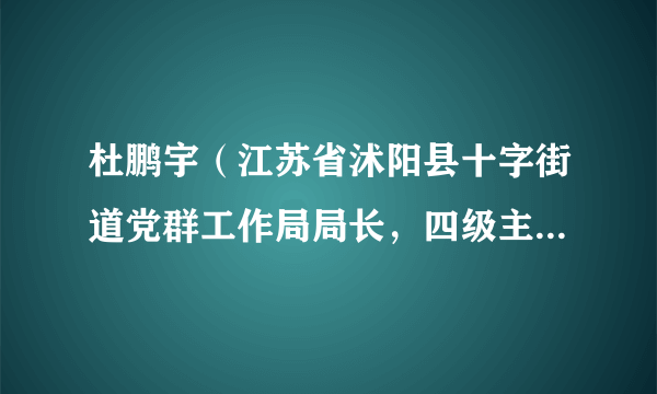 杜鹏宇（江苏省沭阳县十字街道党群工作局局长，四级主任科员）