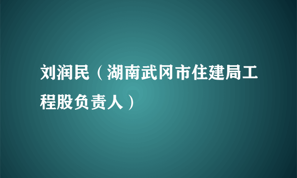 刘润民（湖南武冈市住建局工程股负责人）