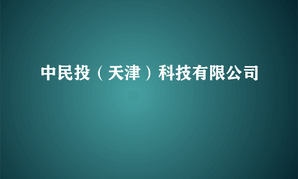 中民投（天津）科技有限公司