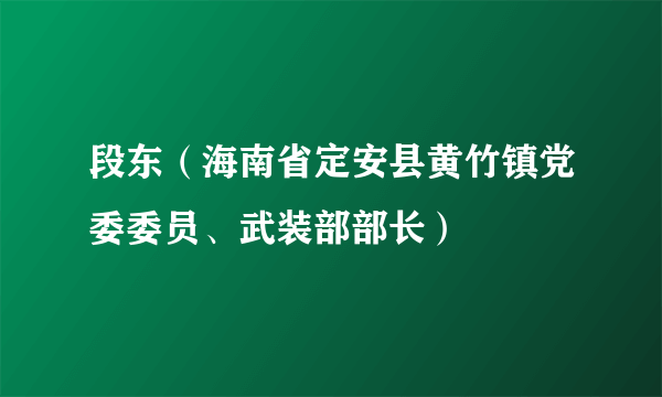 段东（海南省定安县黄竹镇党委委员、武装部部长）