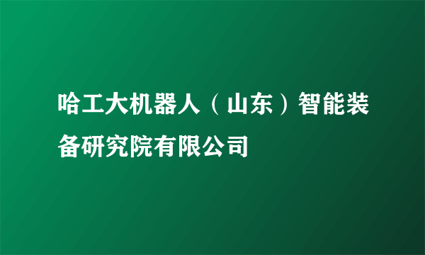 哈工大机器人（山东）智能装备研究院有限公司