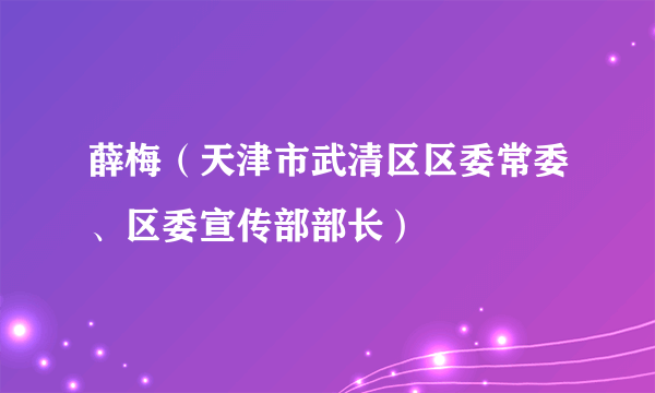 薛梅（天津市武清区区委常委、区委宣传部部长）